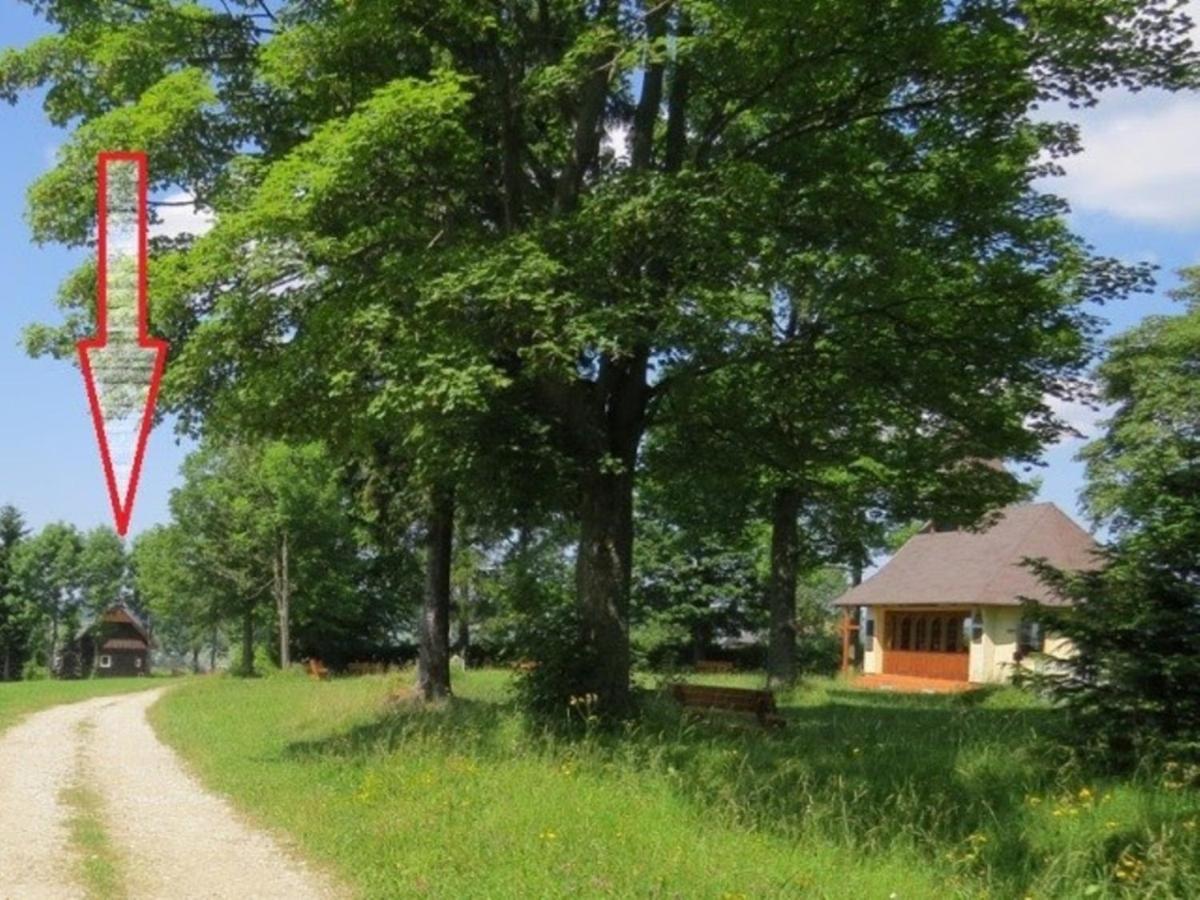 Apartament Chata Nad Lanovkou Oravská Lesná Zewnętrze zdjęcie